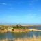 Marismas del Delta del Ebro, en la provincia de Tarragona, Cataluña