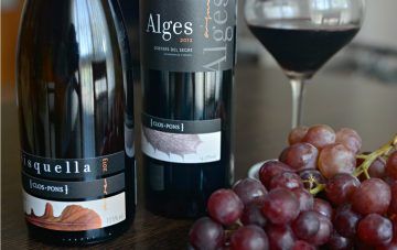 sisquella-y-alges-dos-vinos-de-clos-pons-louloulopez