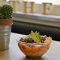pokebowl the hip fish gracia louloulopez