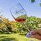vinos rosados de navarra (1)