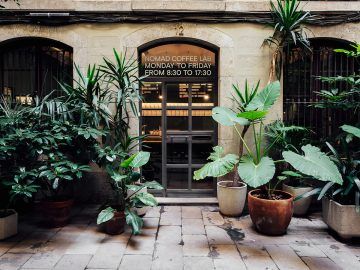 Café de especialidad en Barcelona