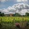 Bodegas sostenibles. El Primer Simposi de Viticultura Regenerativa de bodegas Torres